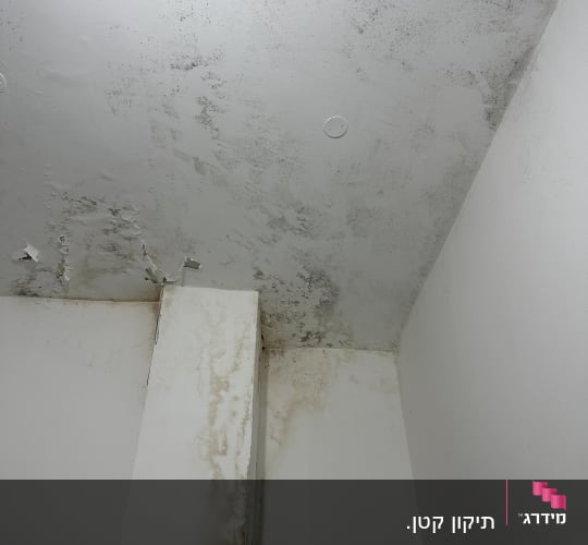 תקרה עם סימני רטיבות ועובש